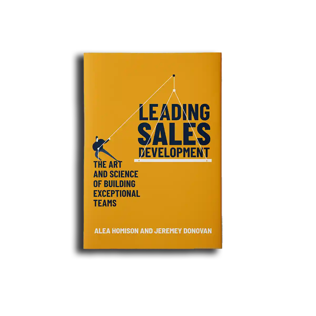 Leading sales development